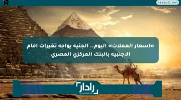 «أسعار العملات» اليوم.. الجنيه يواجه تغيرات أمام الأجنبية بالبنك المركزي المصري